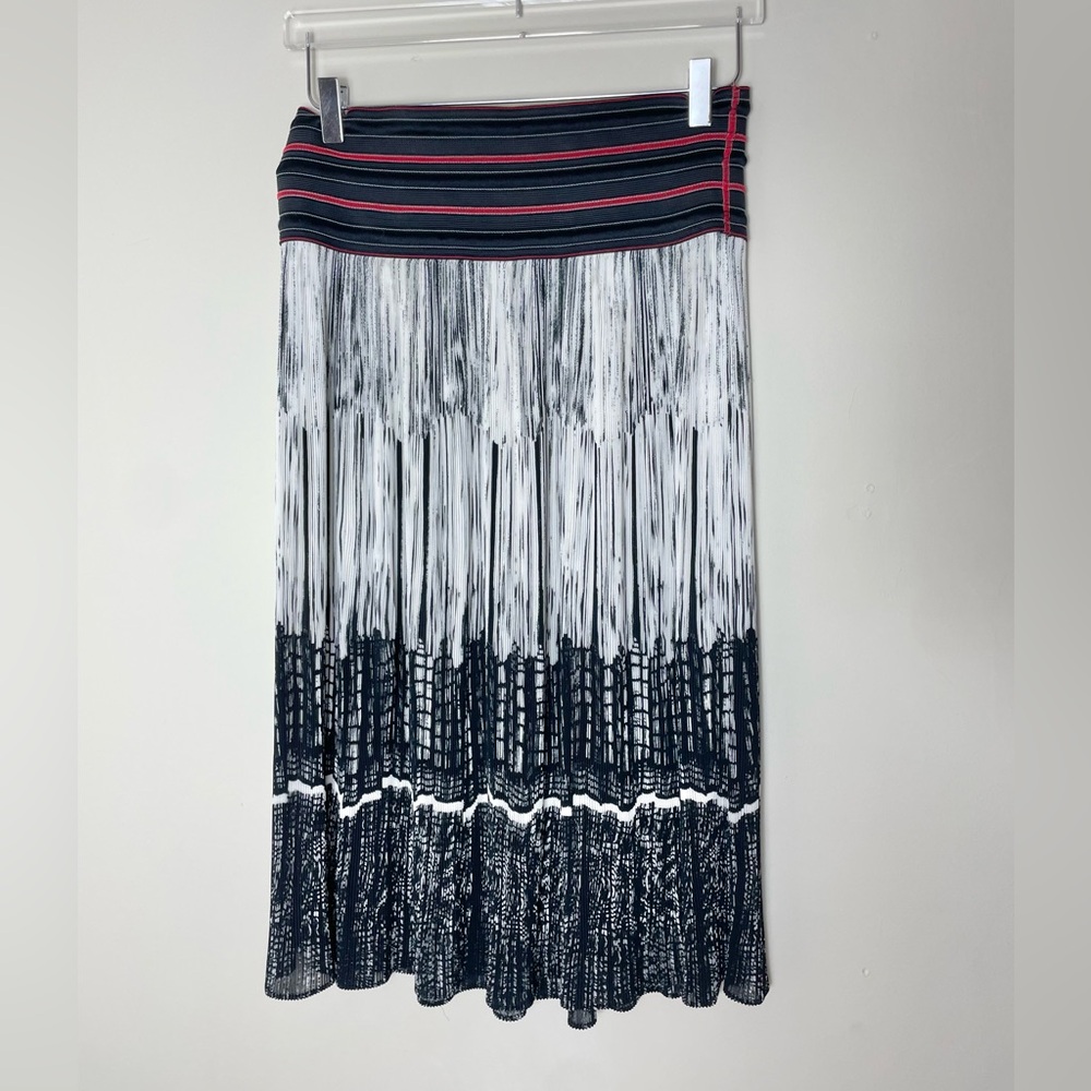 Vivienne Tamm Semi-sheer Pleated Skirt